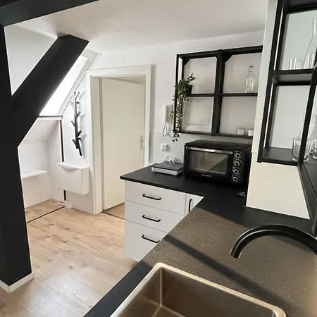 Stylish Top-floor Hideaway For Two In Karlsruhe-muehlburg - Apolonialiving - Apt1 * 카를스루에