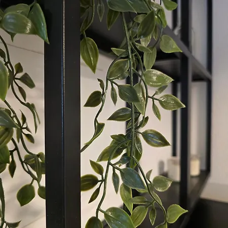 Stylish Top-floor Hideaway For Two In Karlsruhe-muehlburg - Apolonialiving - Apt1 카를스루에